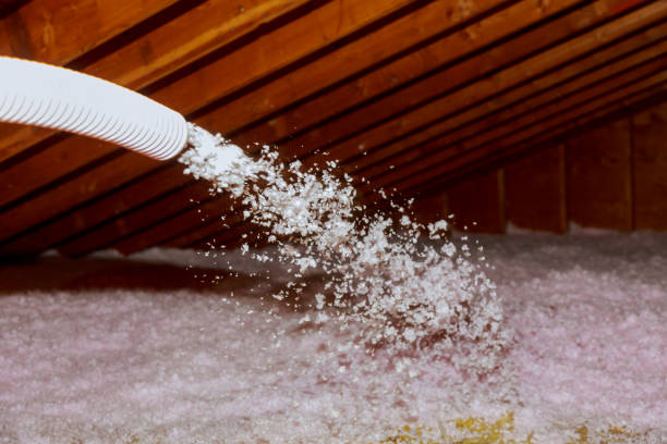 Best Geographic-Specific Insulation Services in Franklin Park, IL