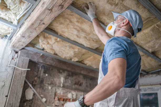 Best Blown-in Insulation in Franklin Park, IL